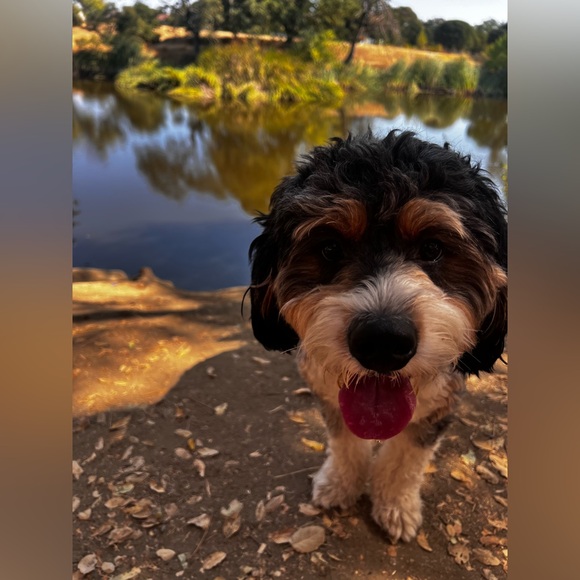 SURPRISE HAPPY MAIL - Picture 11 of 16